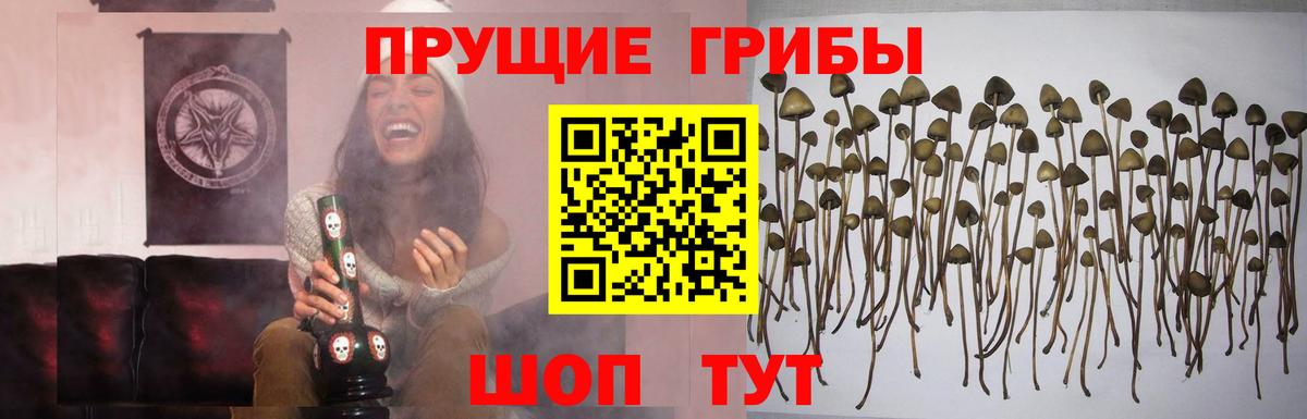 Волжский  Галлюциногенные грибы GOLDEN TEACHER  Псилоцибиновые грибы Psilocybe  Вход с VPN 